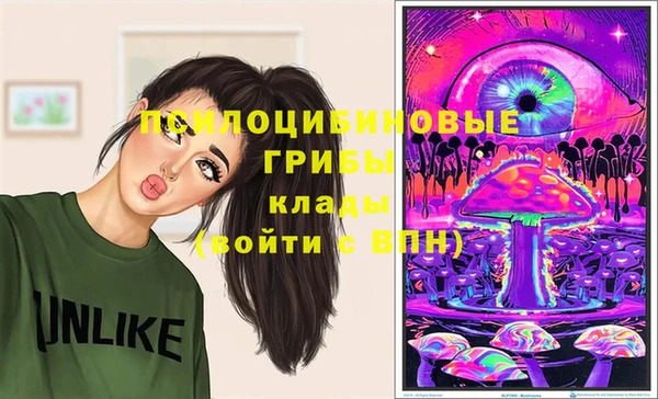 крисы Армянск