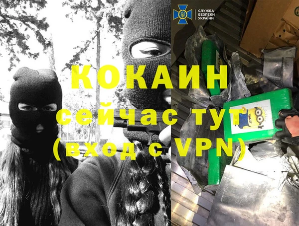 крисы Армянск