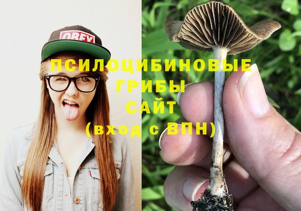 крисы Армянск
