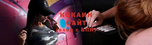 мяу мяу кристалл Няндома