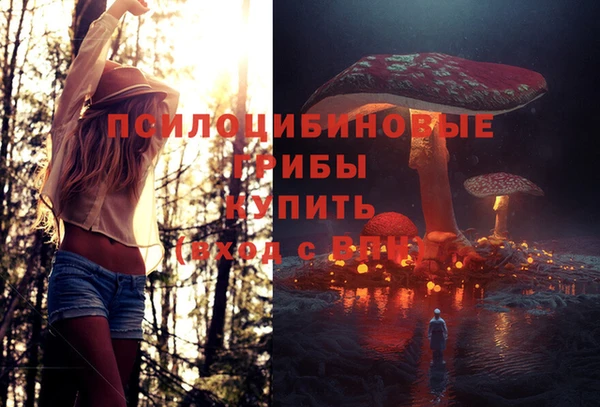 крисы Армянск