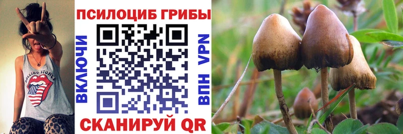 Галлюциногенные грибы мухоморы  Полярные Зори 