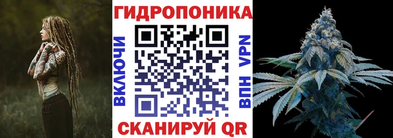 Каннабис конопля  KRAKEN как войти  Полярные Зори  купить наркотики цена 